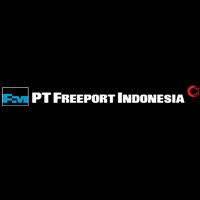 PT FREEPORT INDONESIA